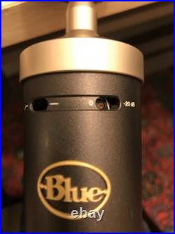 Blue Baby Bottle Large Diaphragm Condenser Microphone with Wooden Case