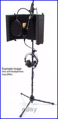 DIY Home Studio Vocal Recording Package iSK BM-700 Mic + HP-980 Headphones