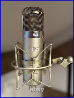 Dual Output Modelling Microphone