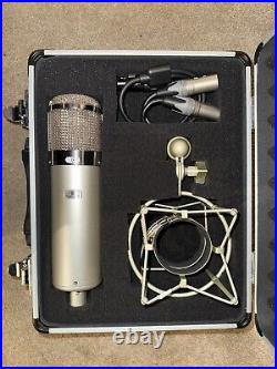 Dual Output Modelling Microphone