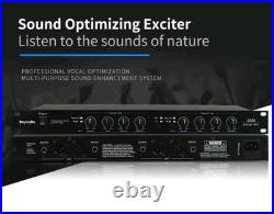 Leventy Sound Audio Exciter/Vitalizer/Audio Processor/Stage Audio Equipment