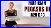 Musician-Pegasus-III-Vs-Audio-Note-Cobra-Dac-Sound-Comparison-01-lkw