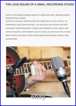 Neumann TLM 102 S-Mall Diaphragm Condenser Microphone Studio Set with Shockmount