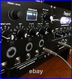 Peneloopa DSP Multi Effects And Performance Looper