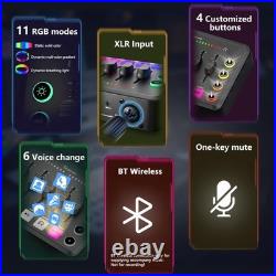 Podcast Equipment Bundle for 2, RGB Audio Interface with XLR Condenser Microphon