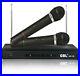Pro-Dual-Wireless-Cordless-DJ-Karaoke-Public-Address-PA-Mic-Microphone-System-01-jucd