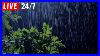 Rain-On-Leaves-Gentle-Rain-Sound-To-Sleep-In-3-Minutes-Beat-Insomnia-Asmr-Rain-01-co