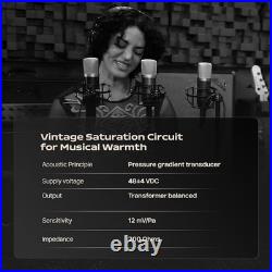 Roswell Professional Cardiod Condenser Microphone Hand built in the USA