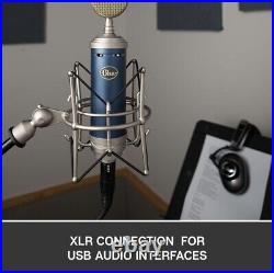 SEALED Blue Baby Bottle SL Condenser Microphone