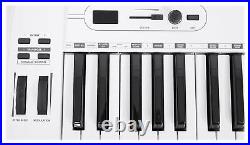 Samson Carbon 61 Key USB MIDI DJ Keyboard Controller + Software + Headphones