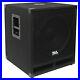 Seismic-Audio-15-Pro-Audio-Sub-Cabinet-PA-DJ-PRO-Audio-B-Speaker-New-Sub-300W-01-edvu